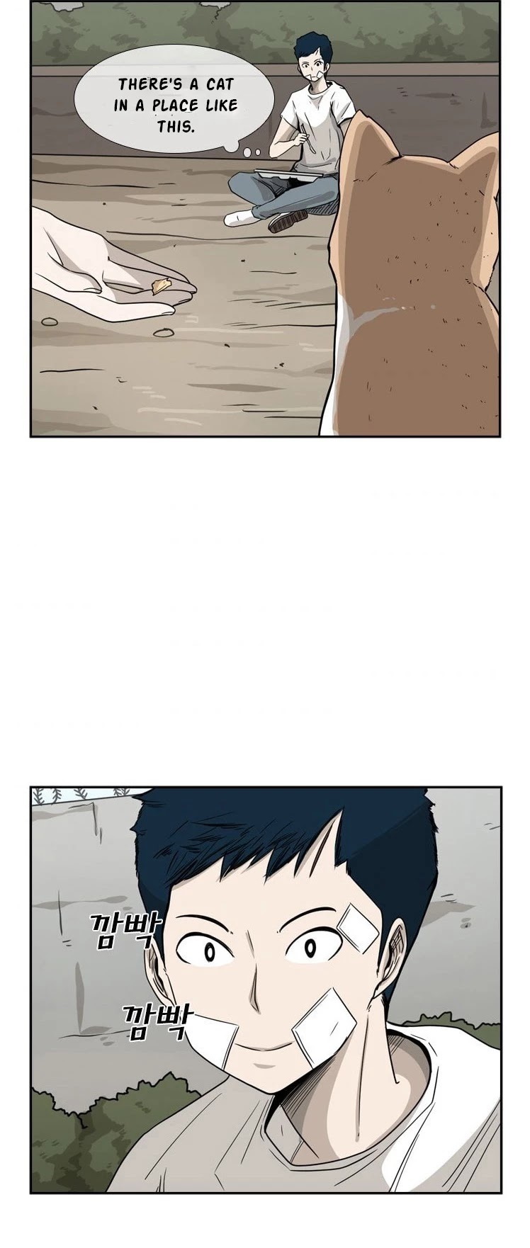 Read Shark EN Manga Online