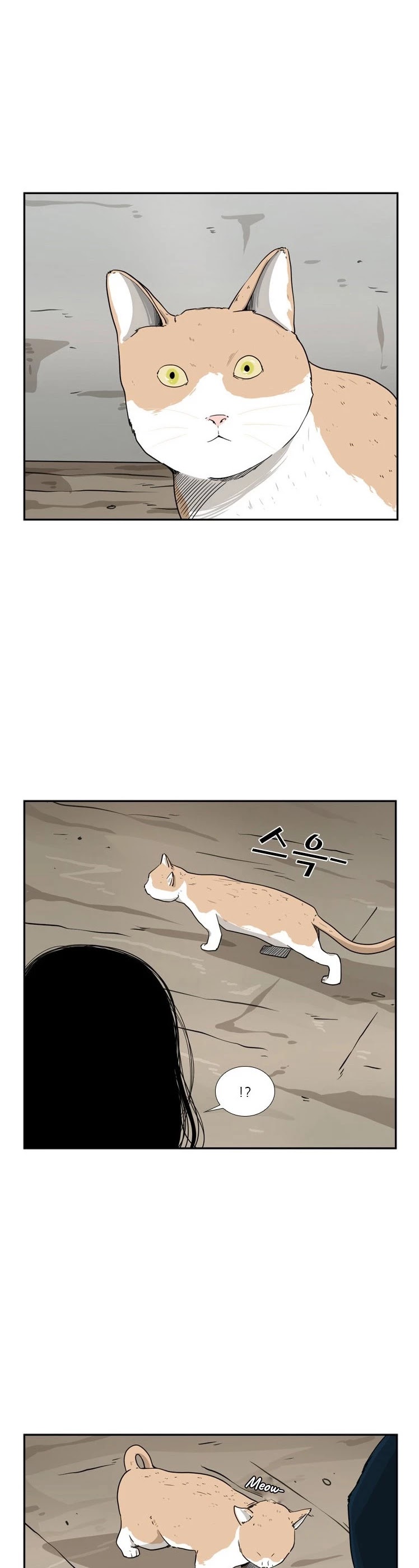 Read Shark EN Manga Online