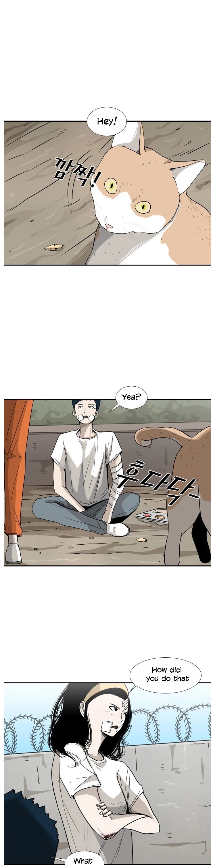 Read Shark EN Manga Online
