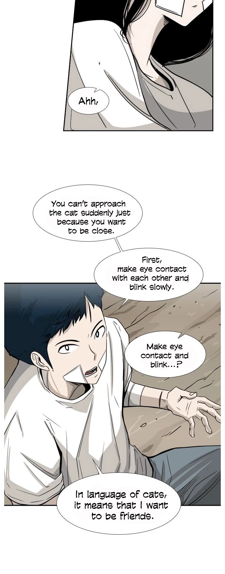 Read Shark EN Manga Online