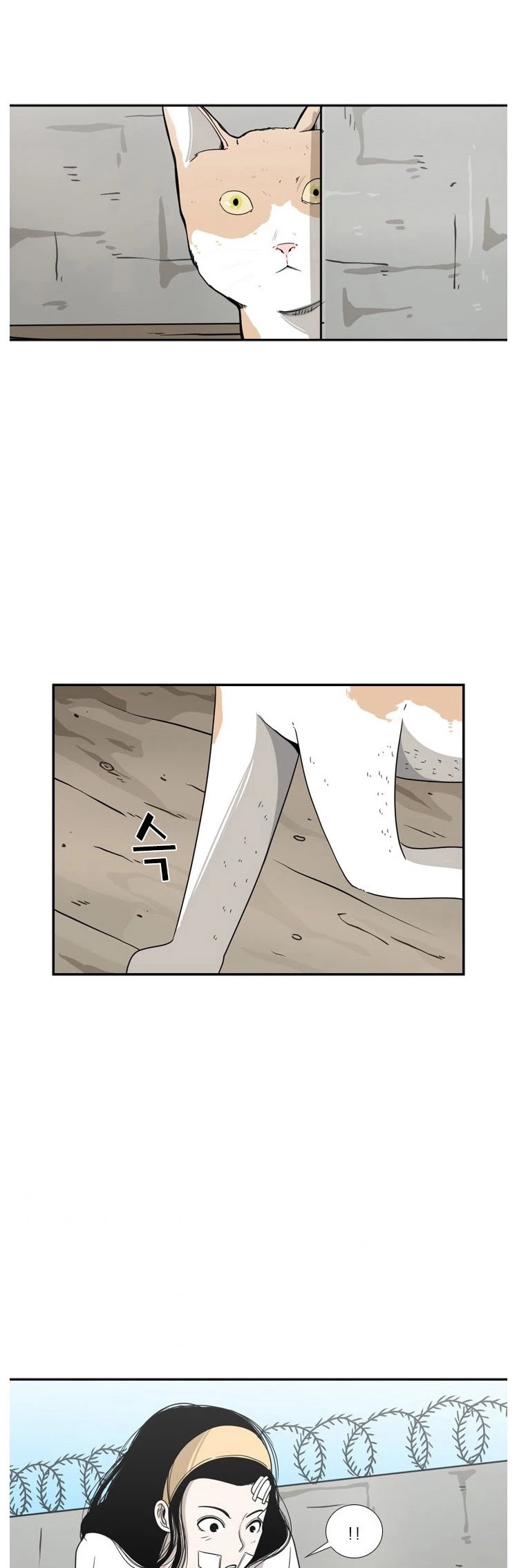 Read Shark EN Manga Online