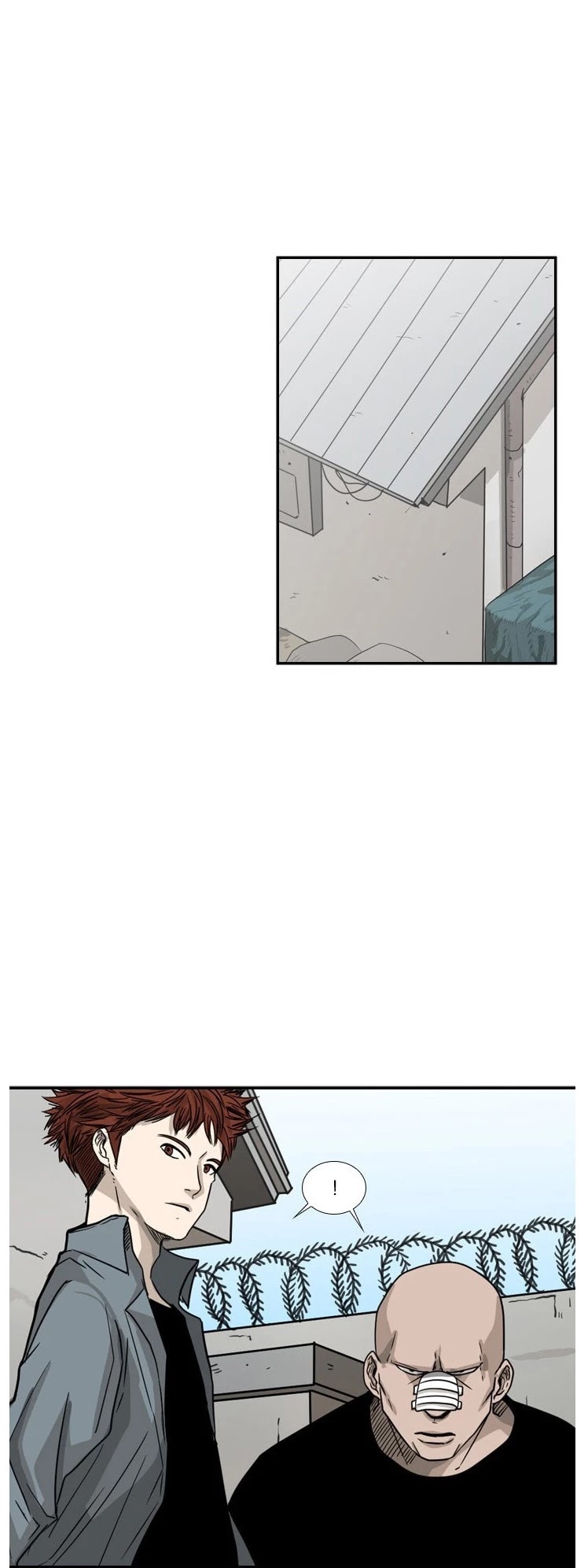 Read Shark EN Manga Online
