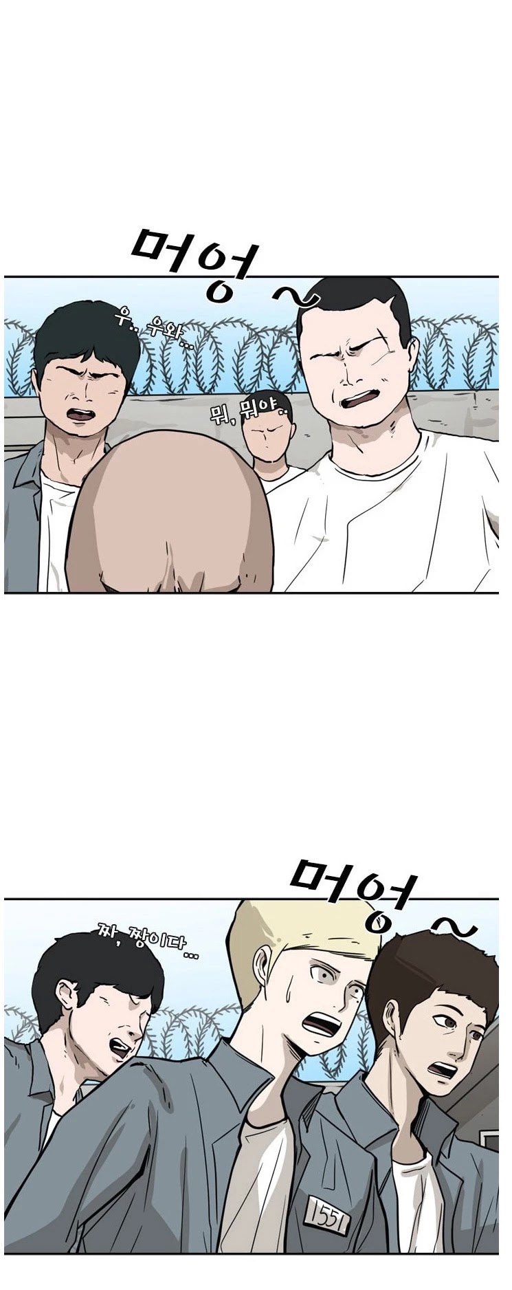 Read Shark EN Manga Online