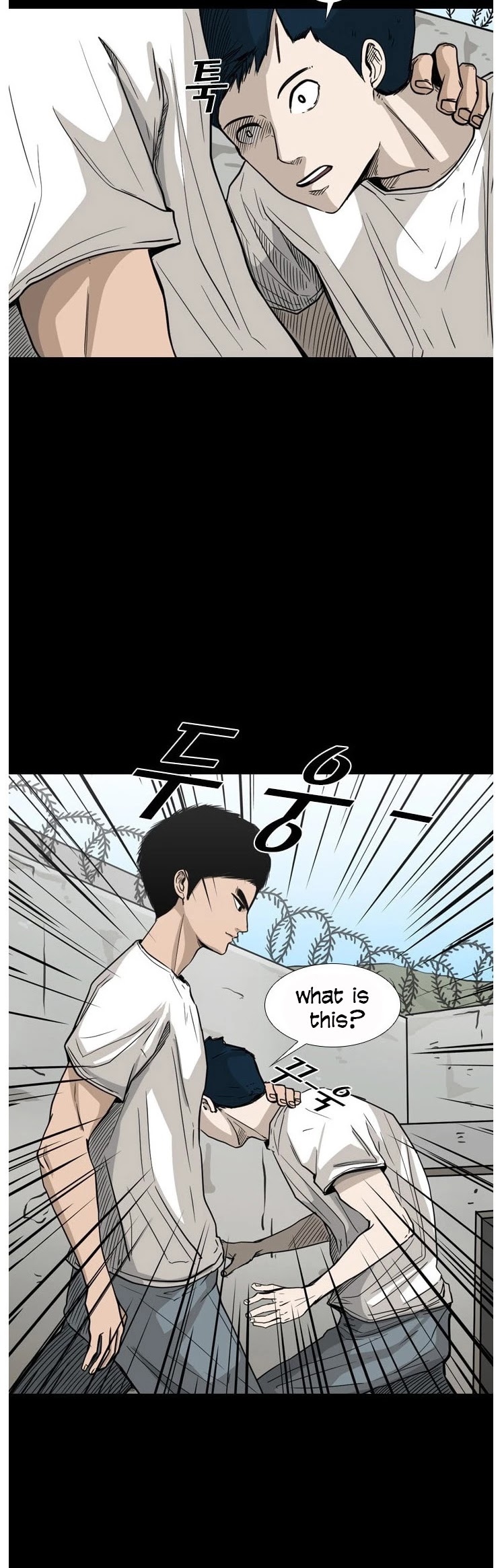 Read Shark EN Manga Online