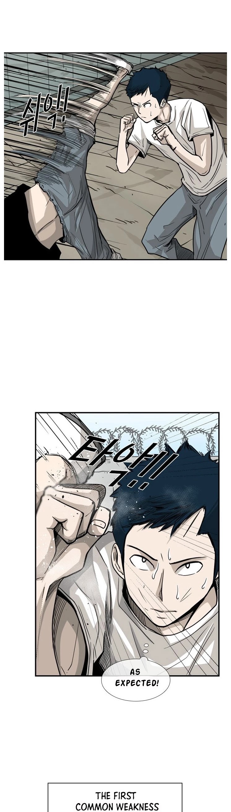 Read Shark EN Manga Online