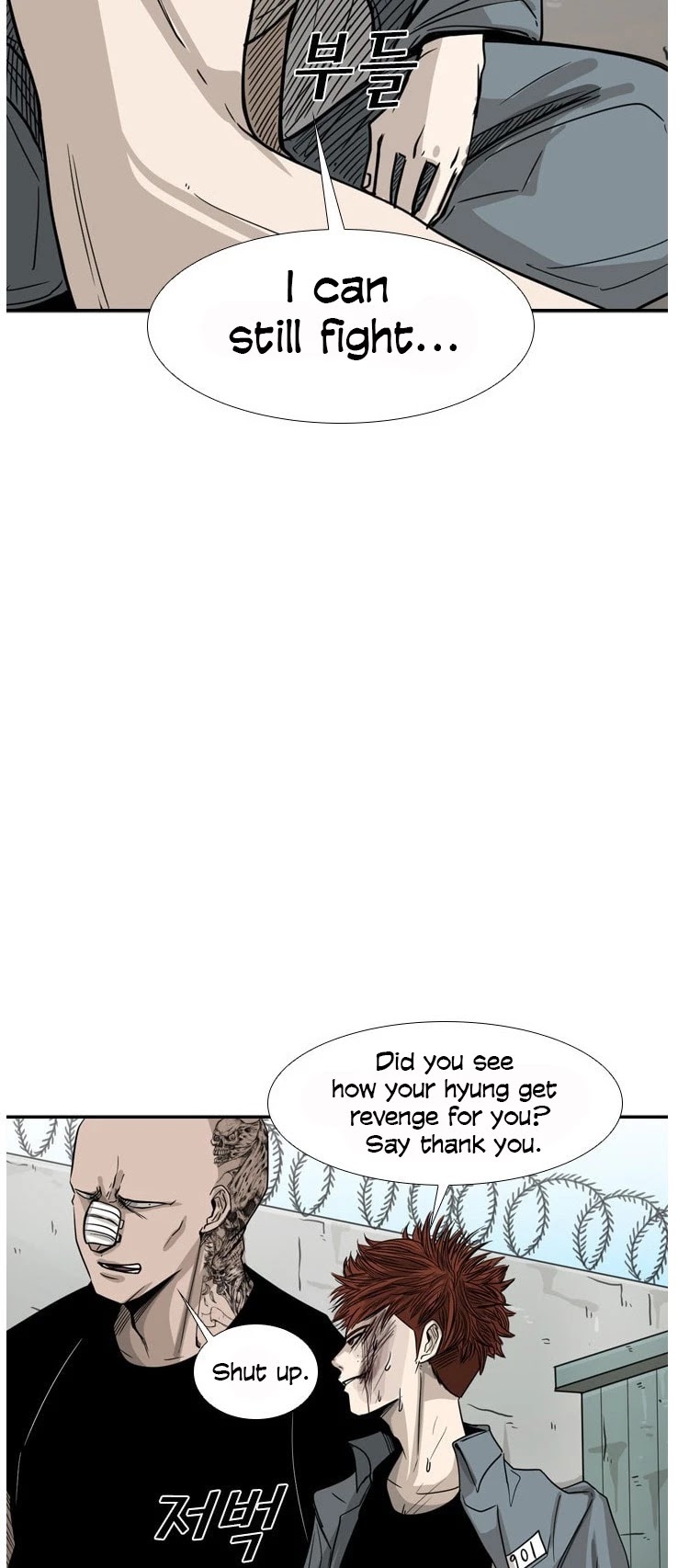 Read Shark EN Manga Online