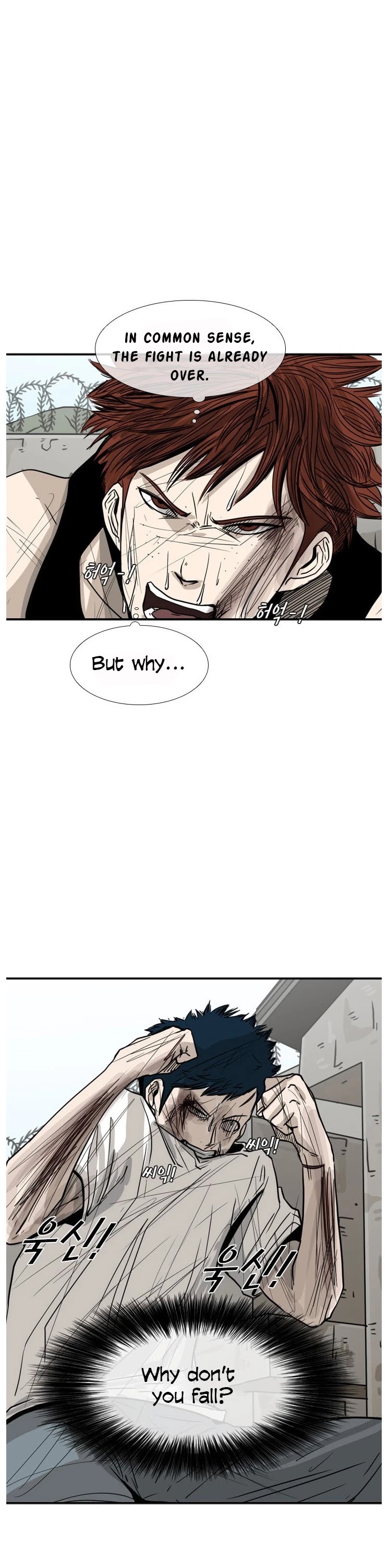 Read Shark EN Manga Online