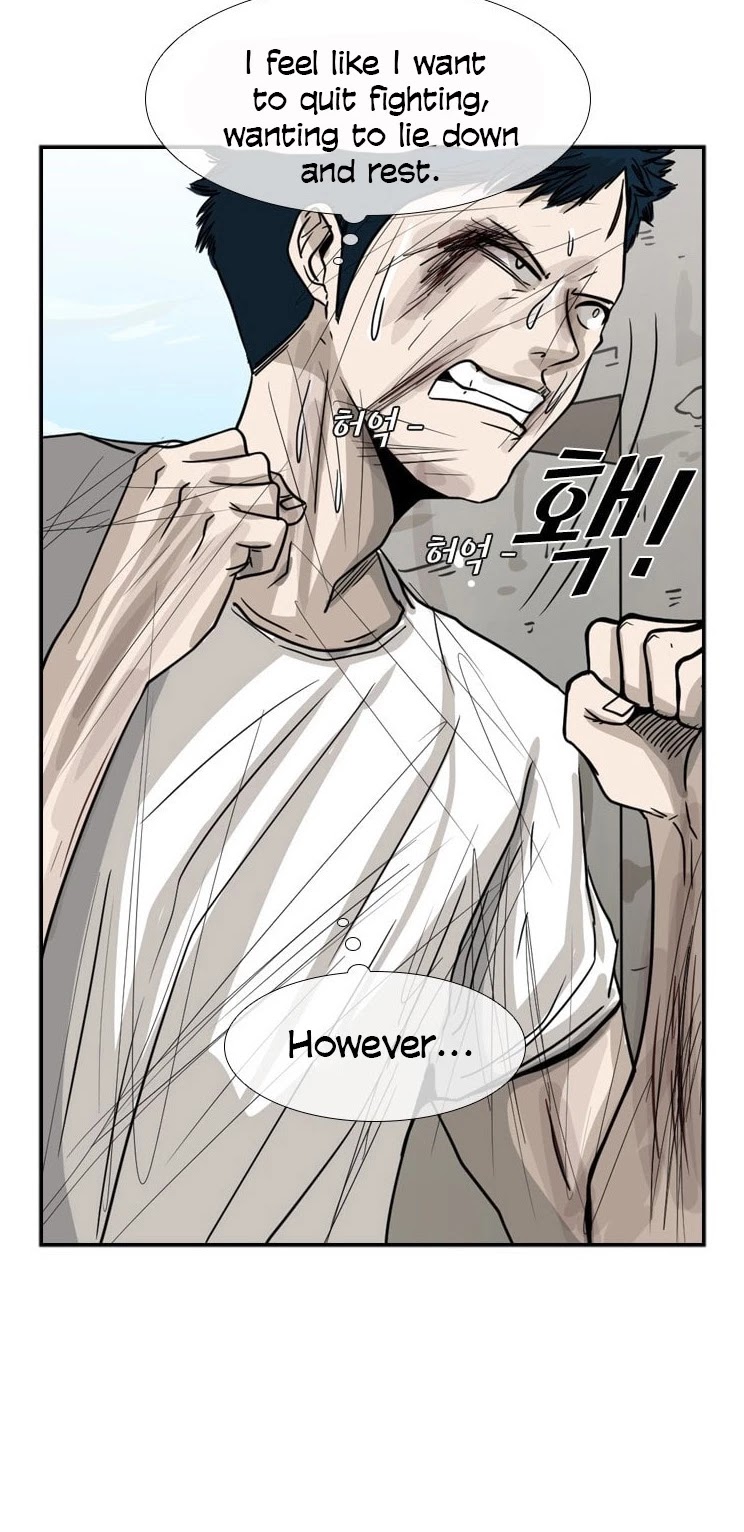 Read Shark EN Manga Online