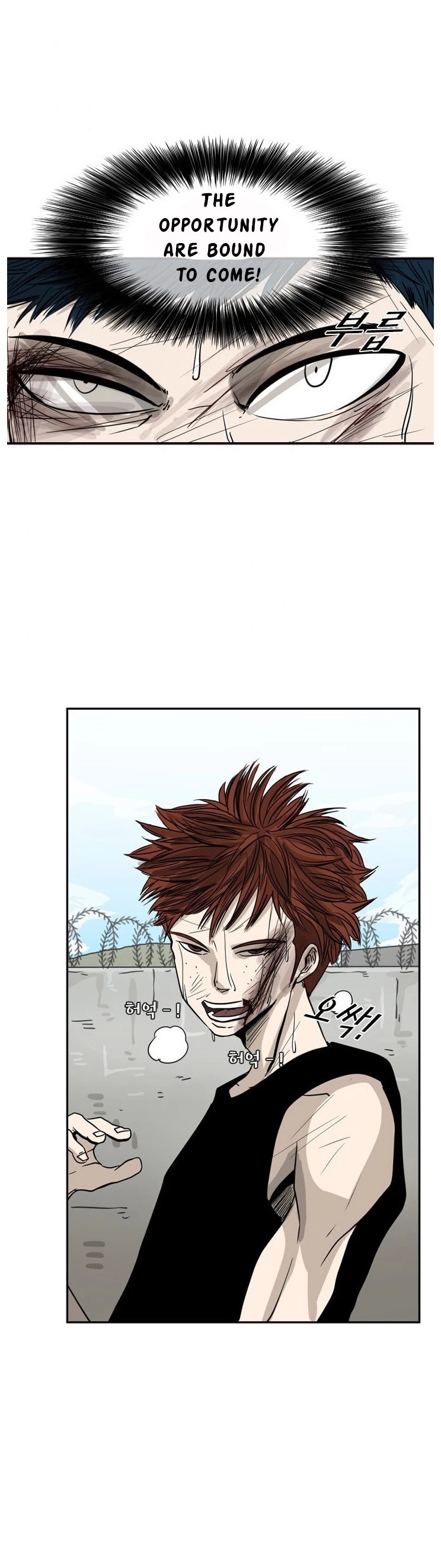 Read Shark EN Manga Online