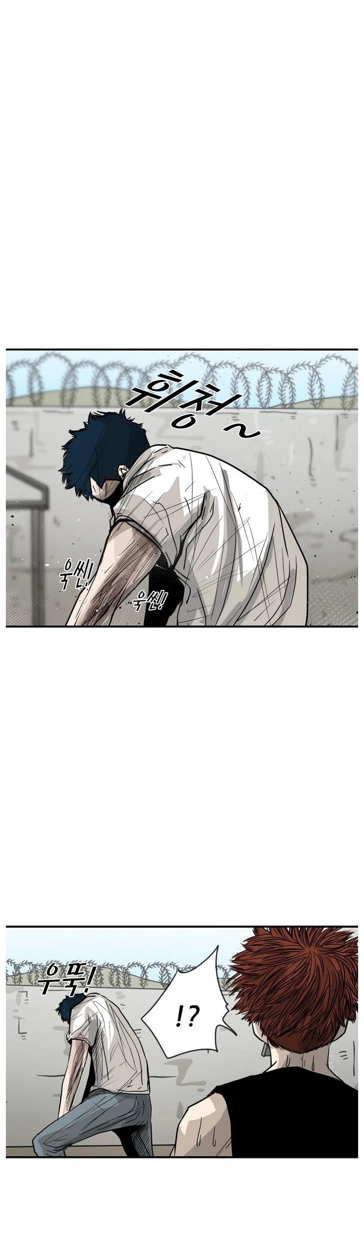 Read Shark EN Manga Online