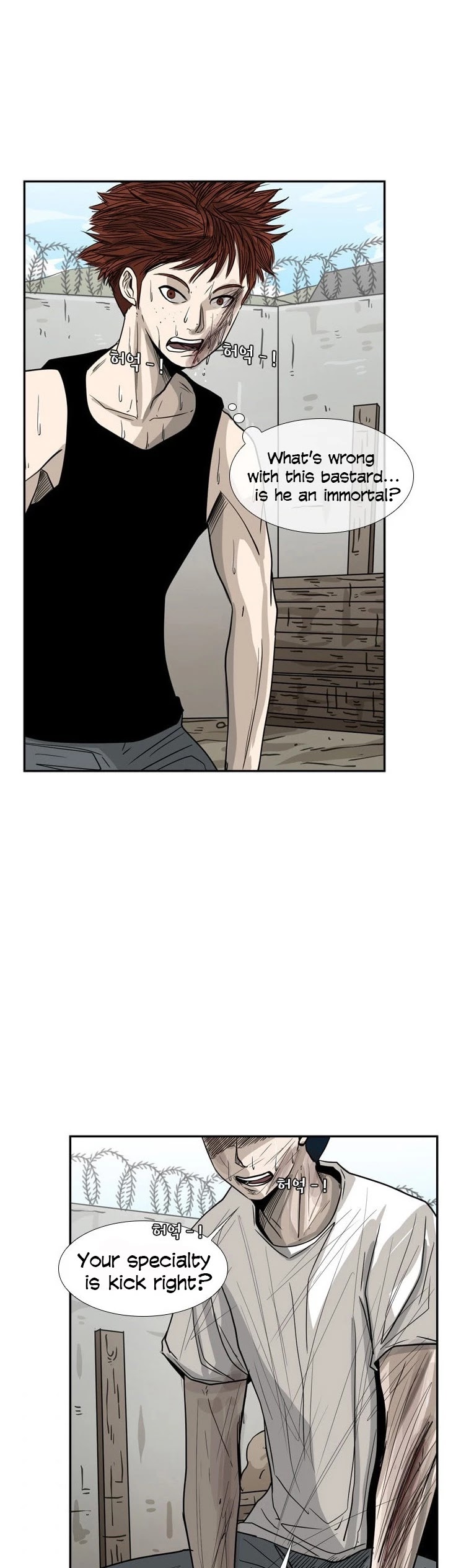 Read Shark EN Manga Online