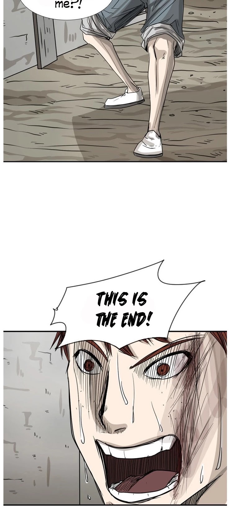 Read Shark EN Manga Online