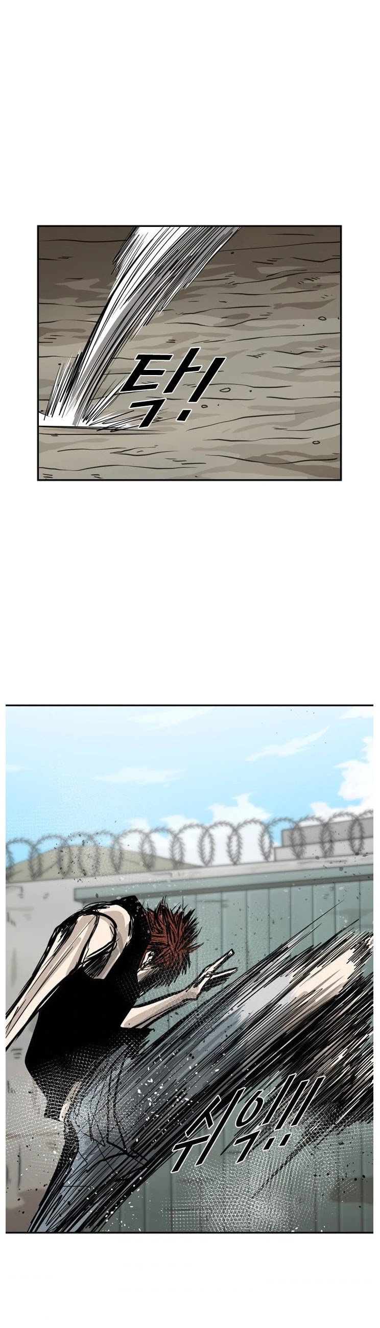 Read Shark EN Manga Online