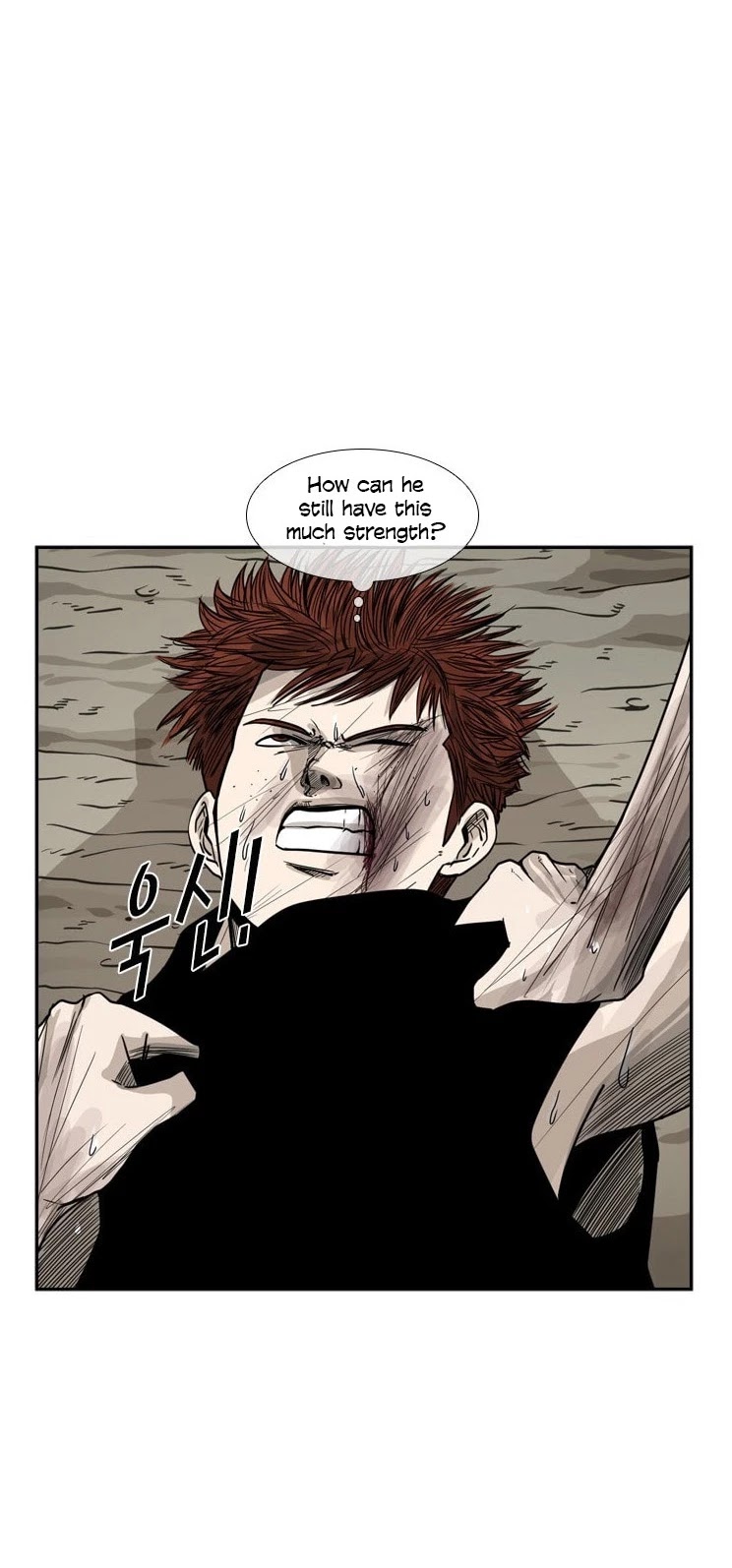 Read Shark EN Manga Online