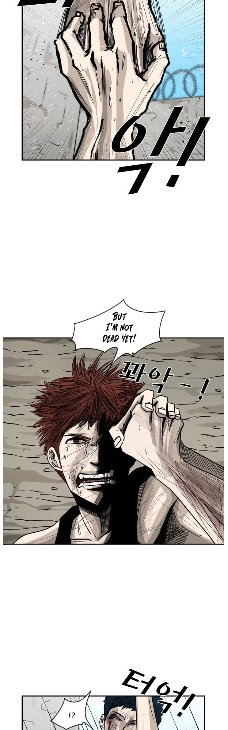 Read Shark EN Manga Online
