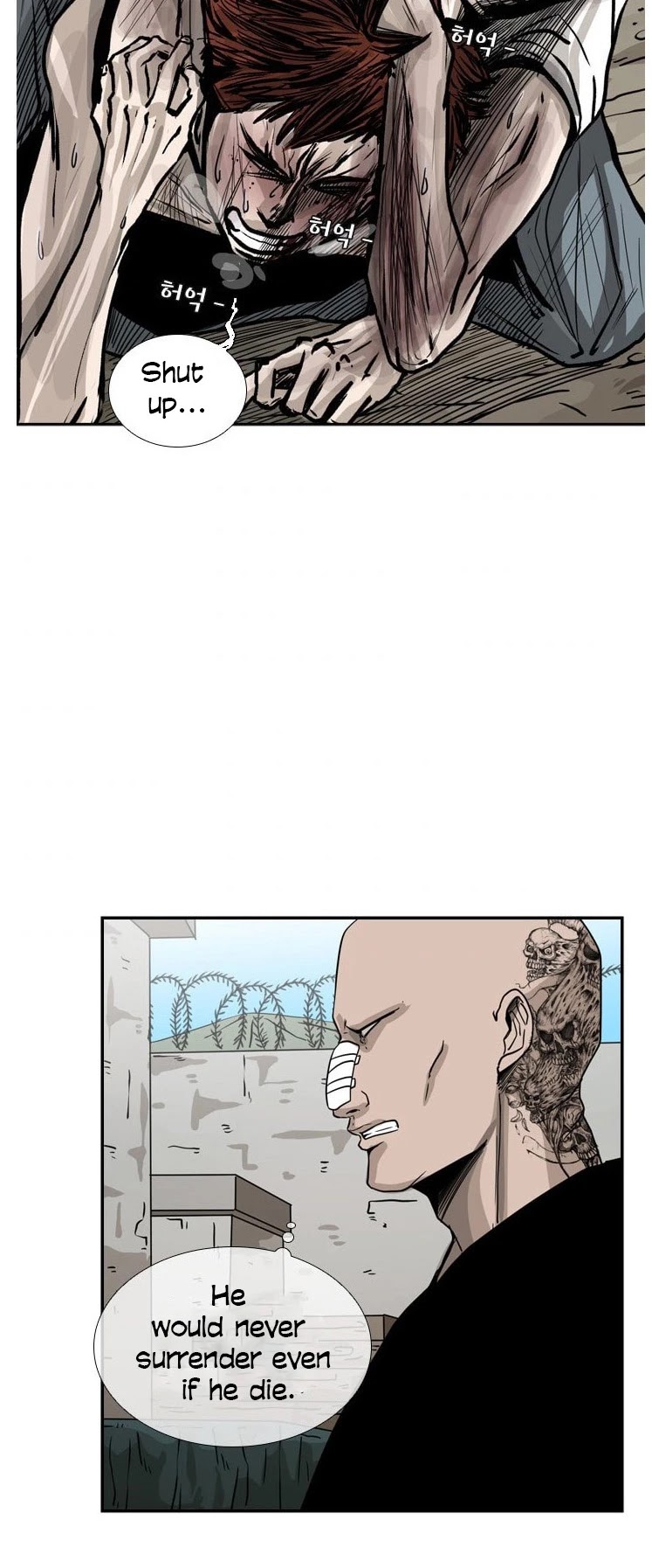 Read Shark EN Manga Online