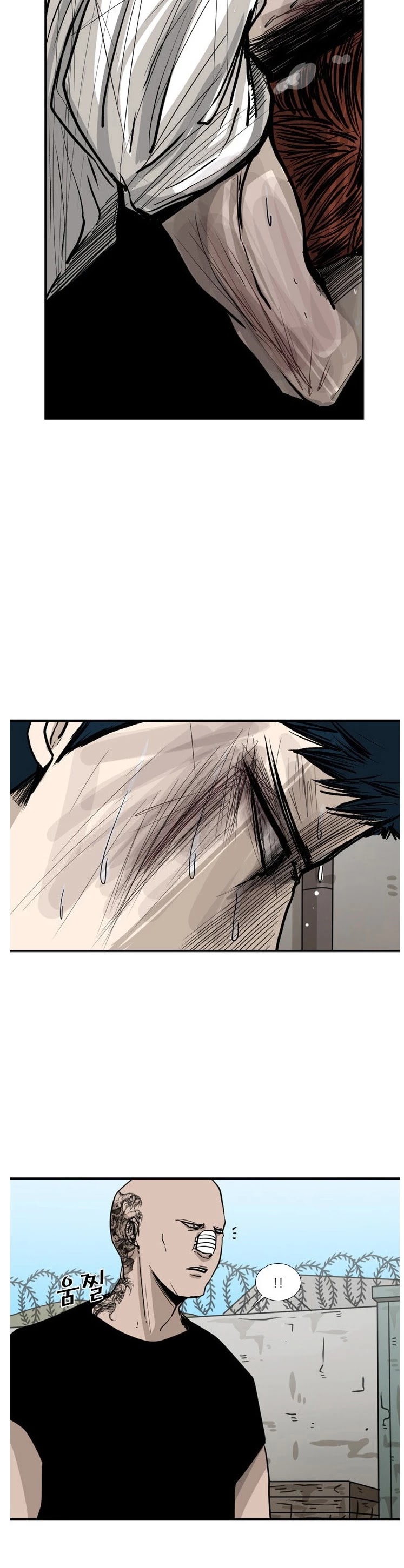 Read Shark EN Manga Online