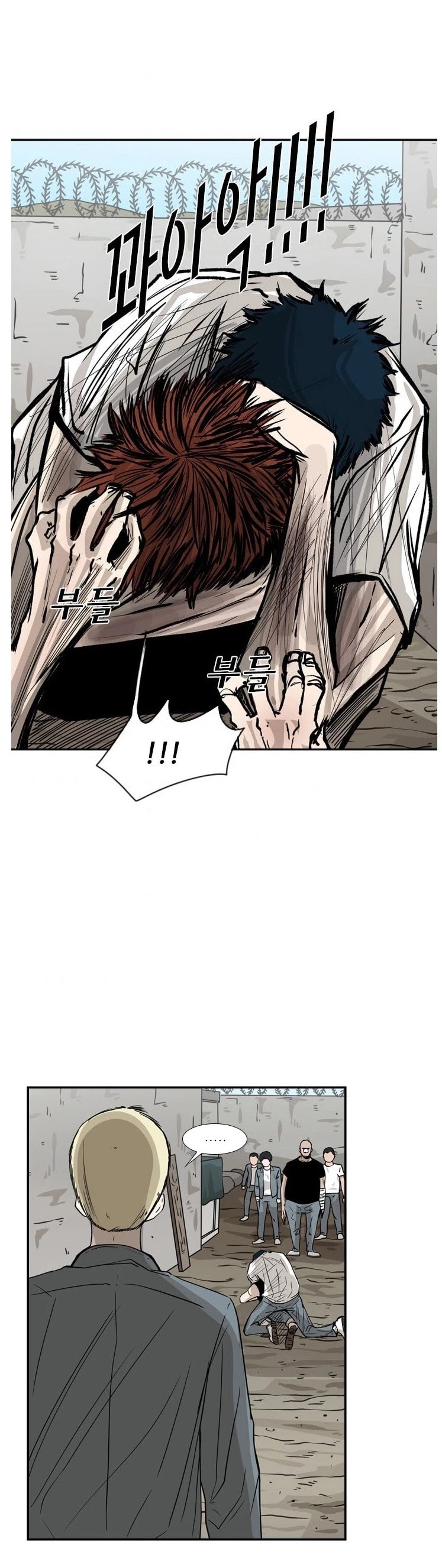 Read Shark EN Manga Online