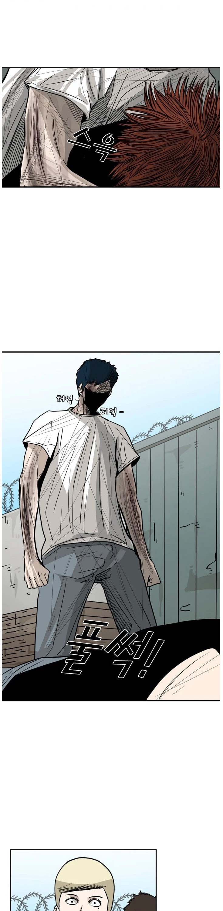 Read Shark EN Manga Online