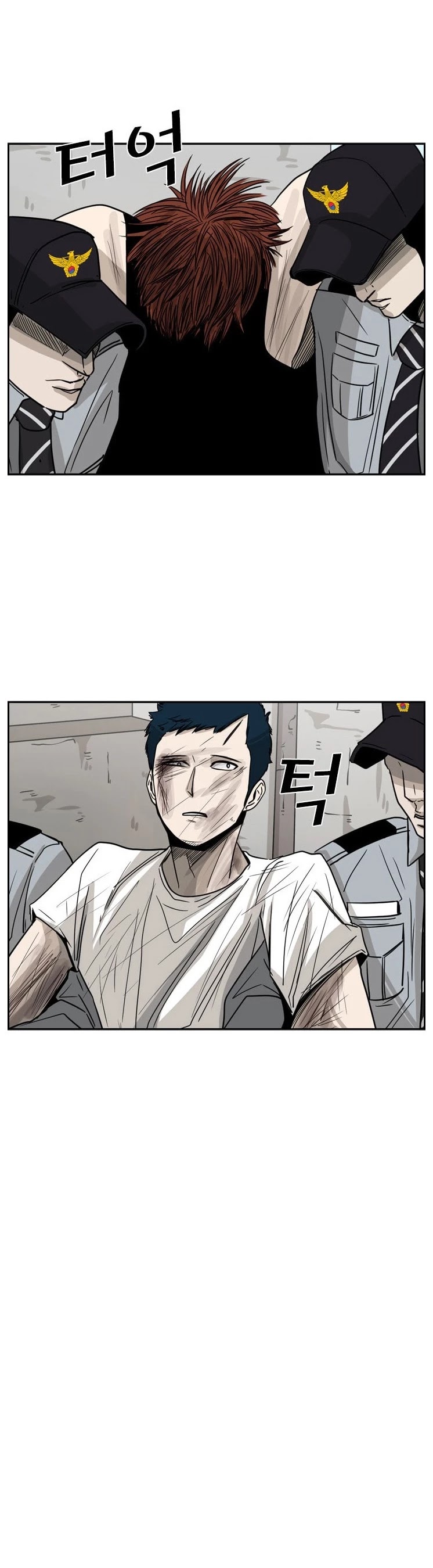 Read Shark EN Manga Online