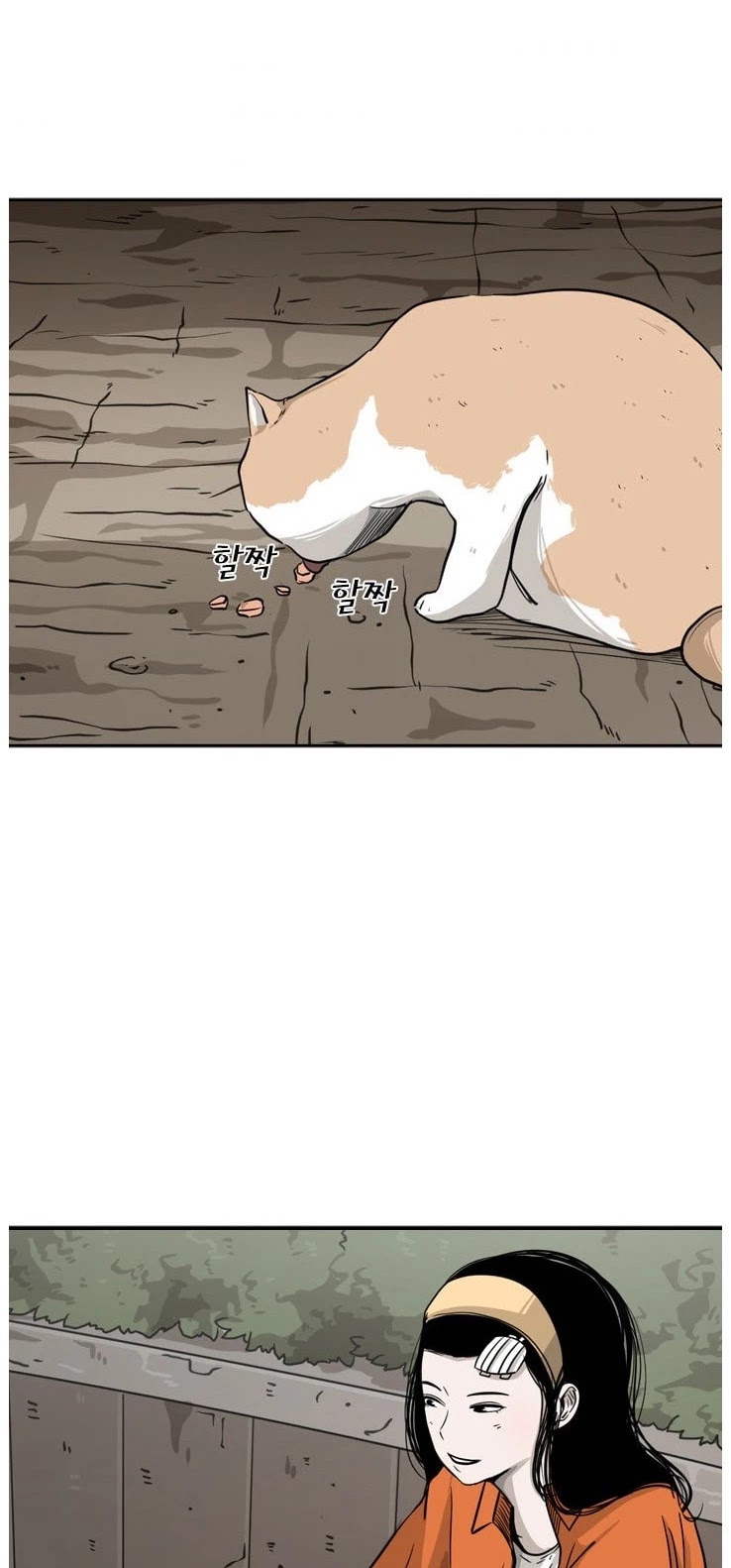 Read Shark EN Manga Online