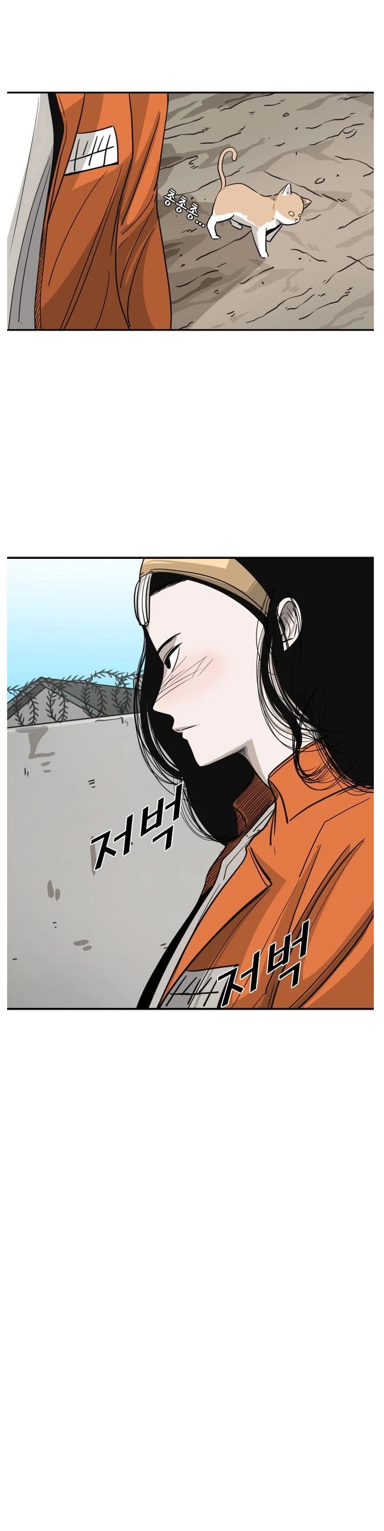 Read Shark EN Manga Online