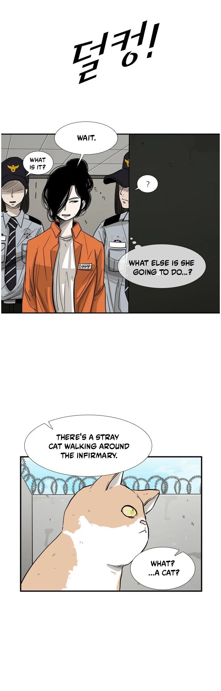 Read Shark EN Manga Online
