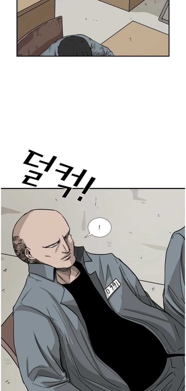 Read Shark EN Manga Online