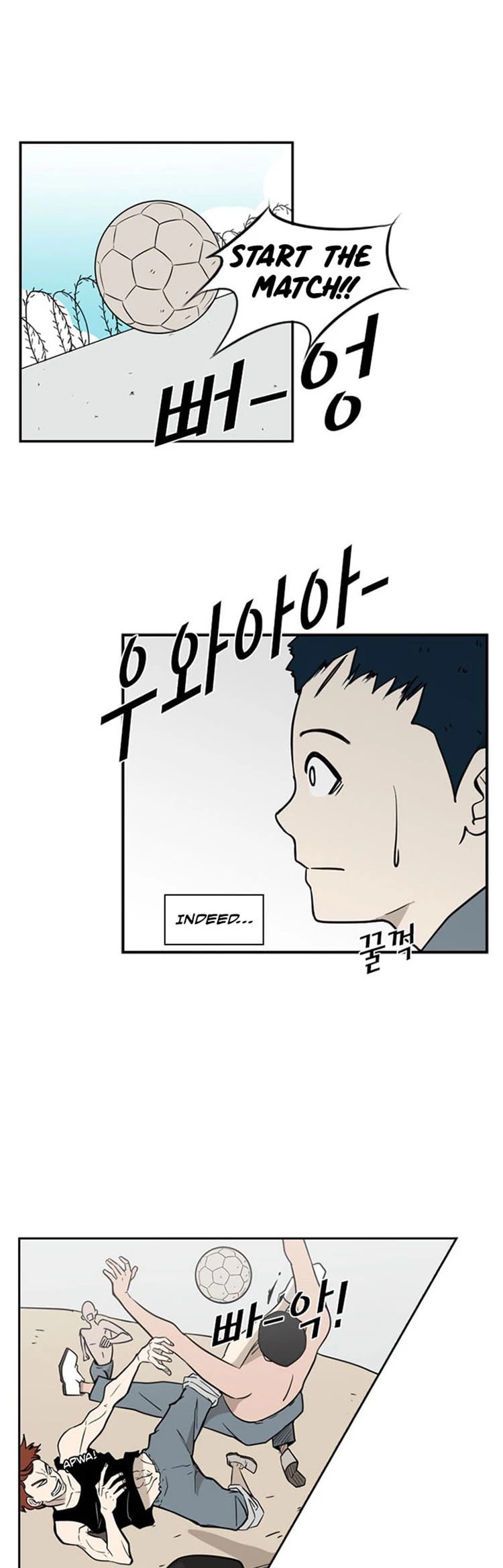 Read Shark EN Manga Online