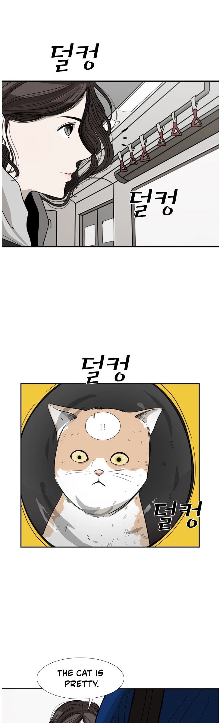 Read Shark EN Manga Online