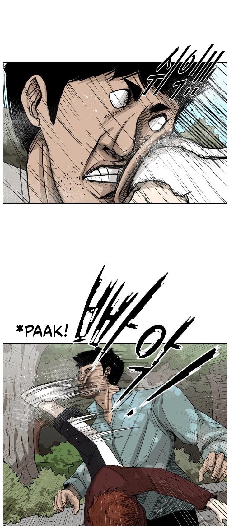 Read Shark EN Manga Online