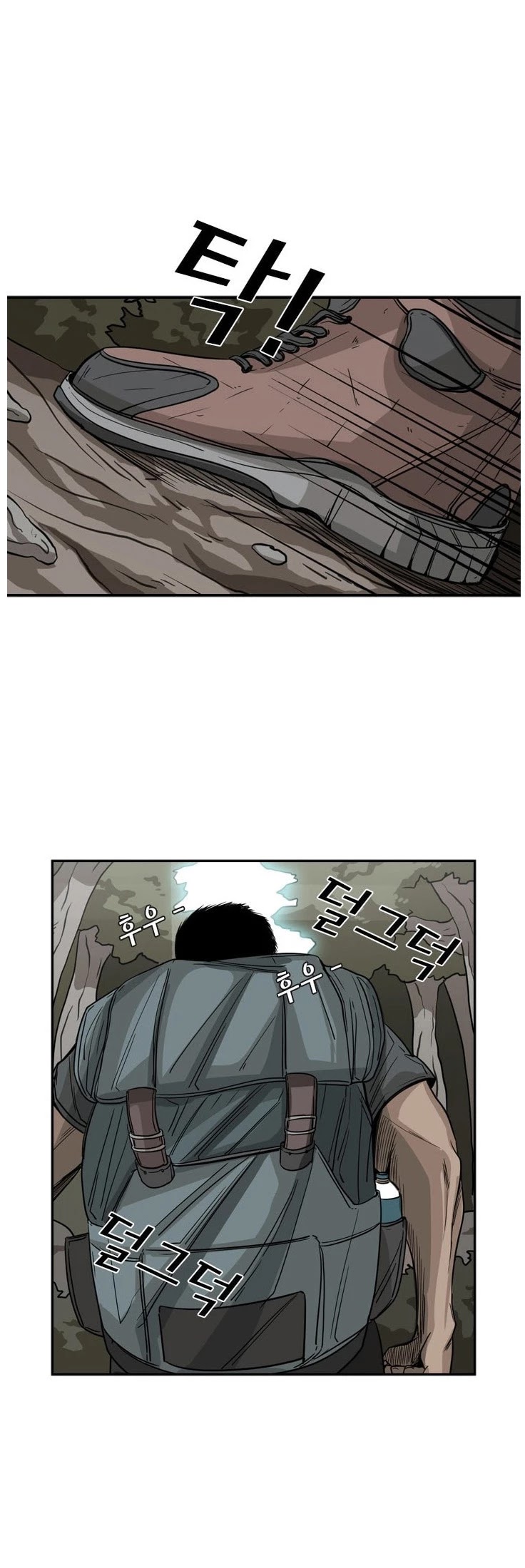 Read Shark EN Manga Online