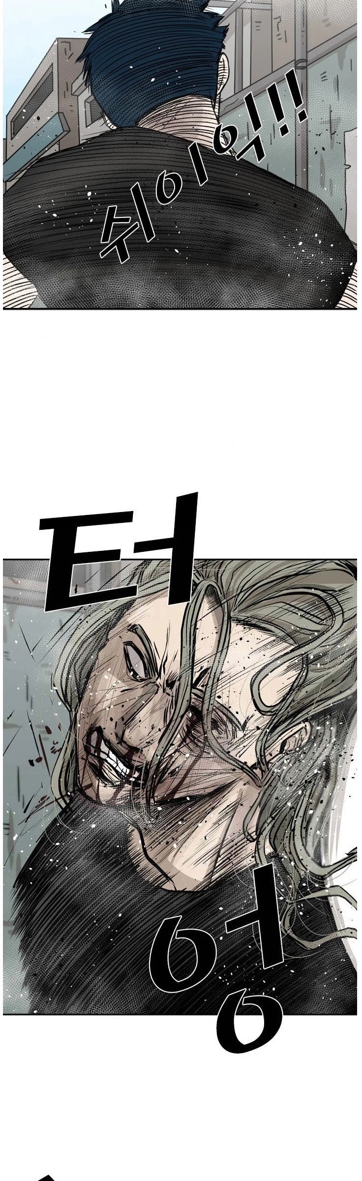 Read Shark EN Manga Online