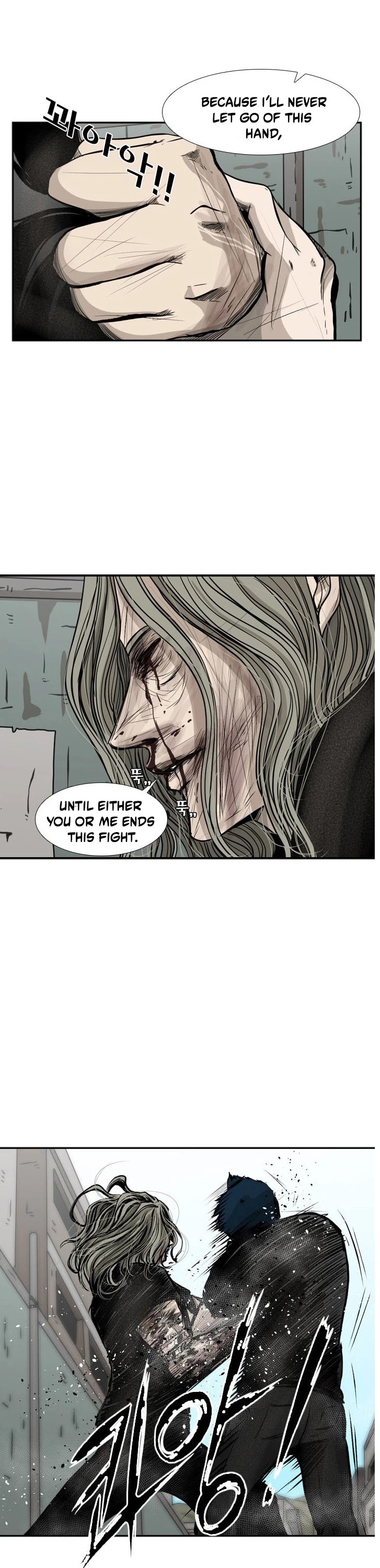 Read Shark EN Manga Online