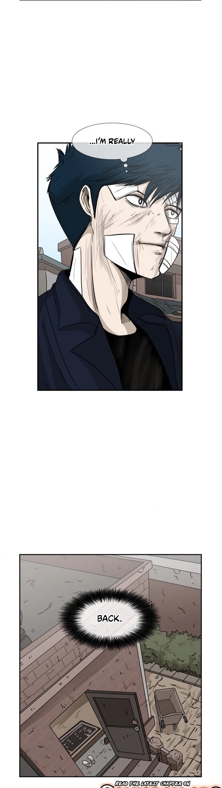 Read Shark EN Manga Online