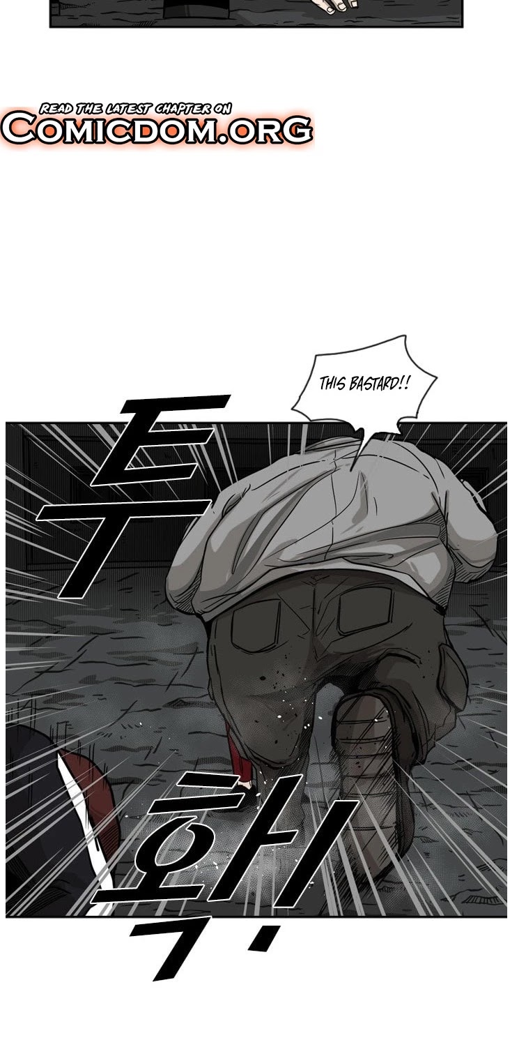 Read Shark EN Manga Online