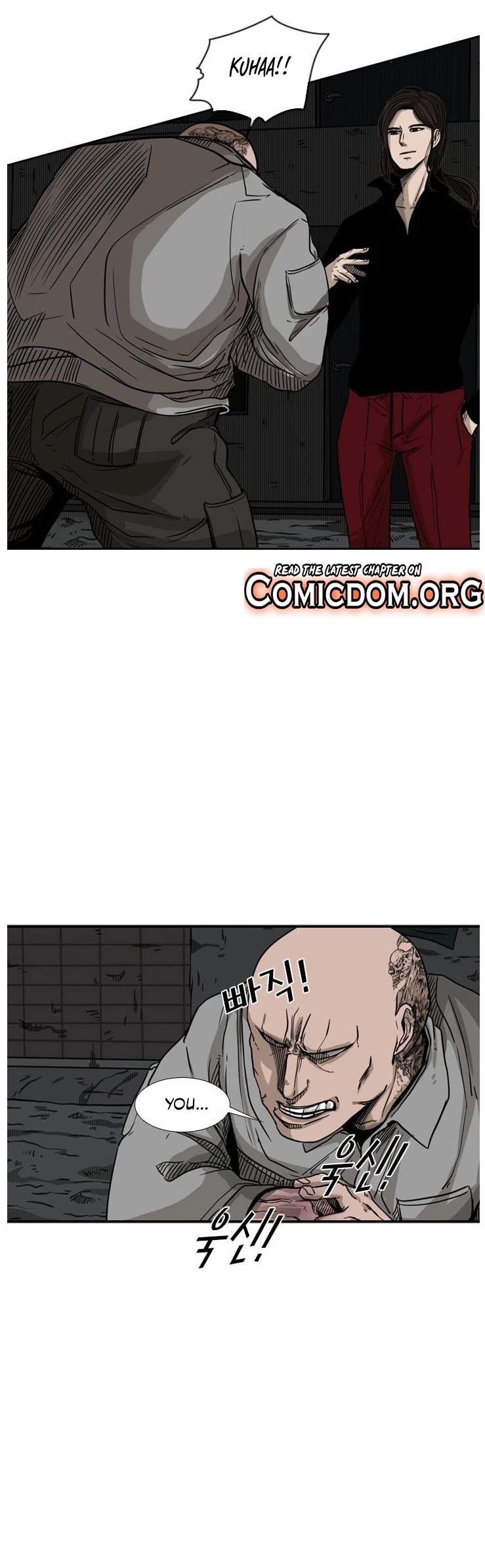 Read Shark EN Manga Online
