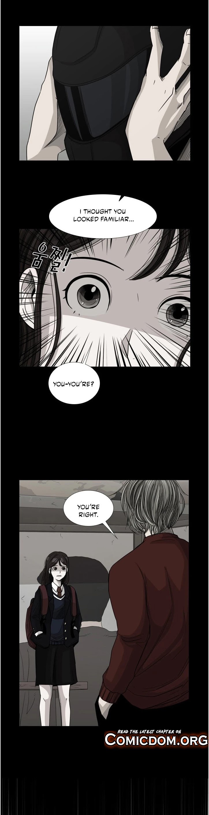 Read Shark EN Manga Online