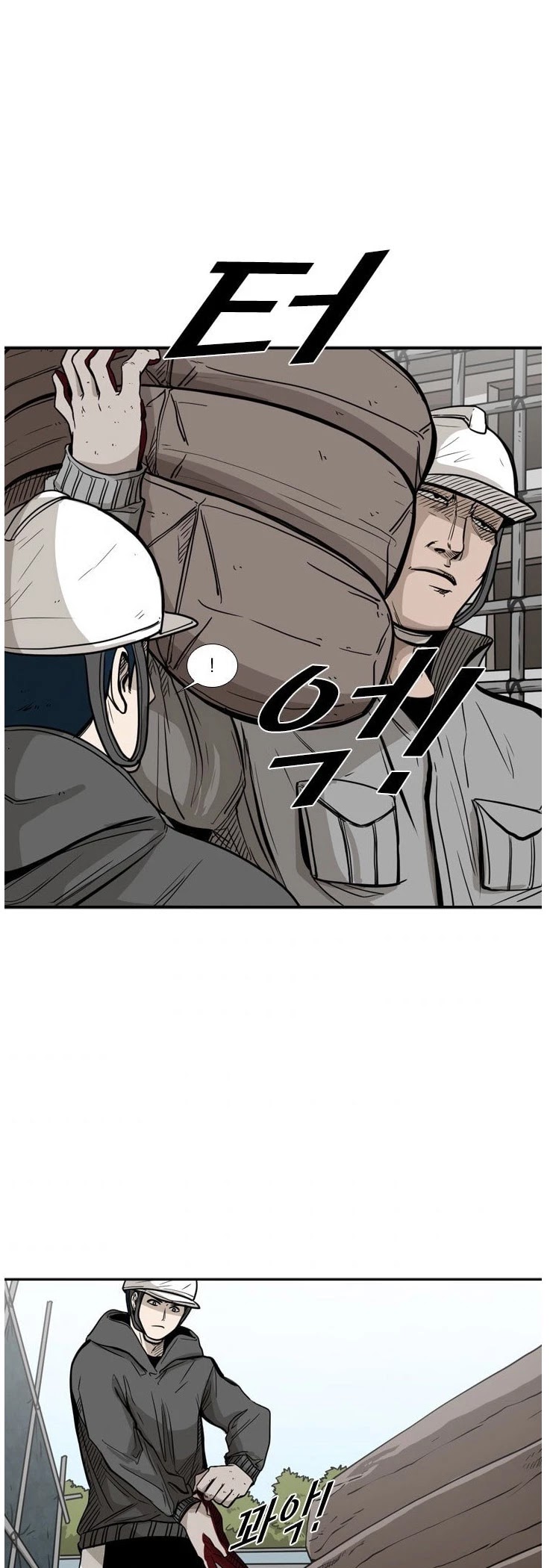 Read Shark EN Manga Online