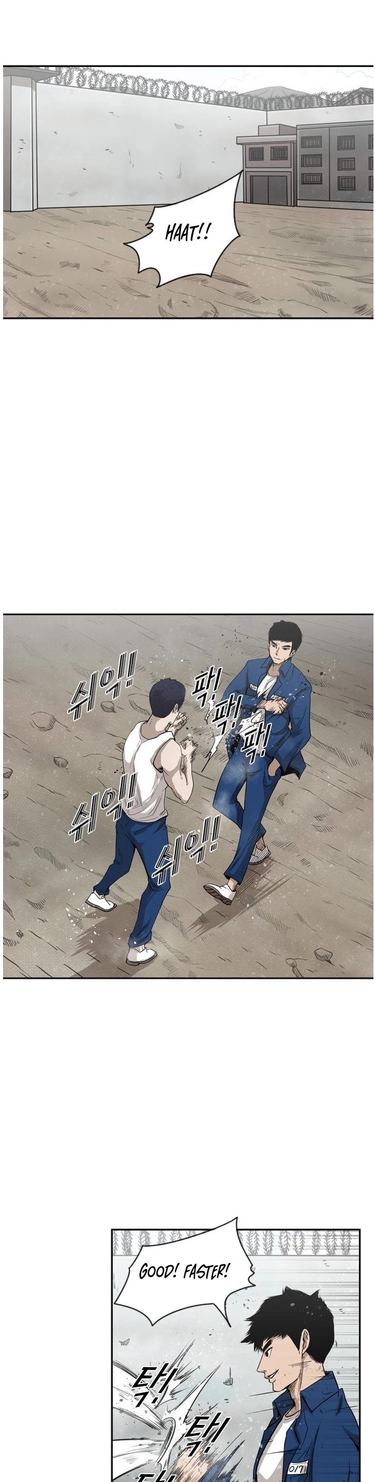 Read Shark EN Manga Online