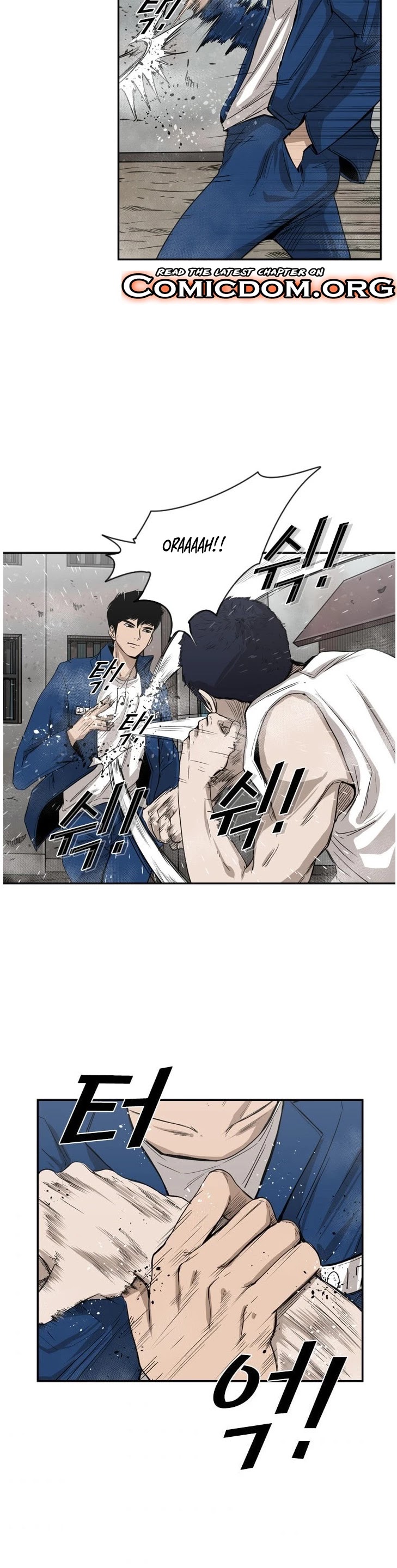 Read Shark EN Manga Online
