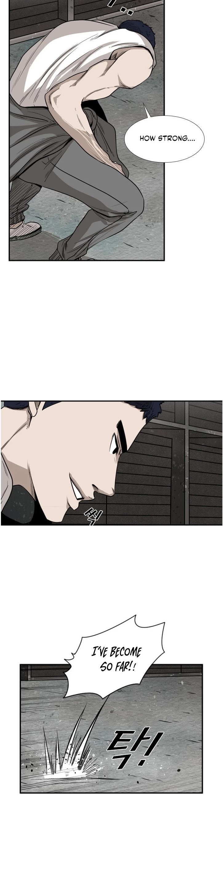 Read Shark EN Manga Online