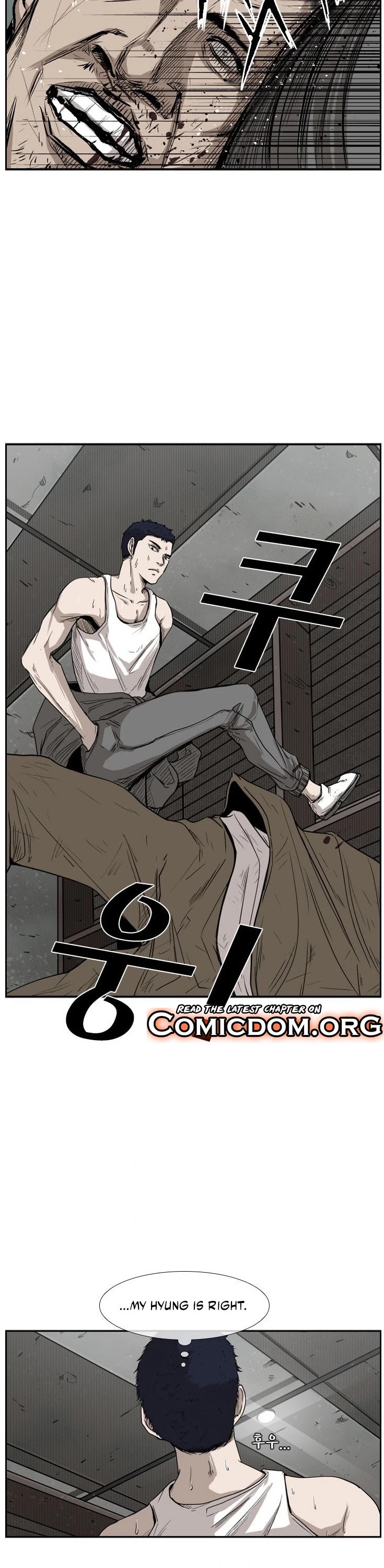 Read Shark EN Manga Online