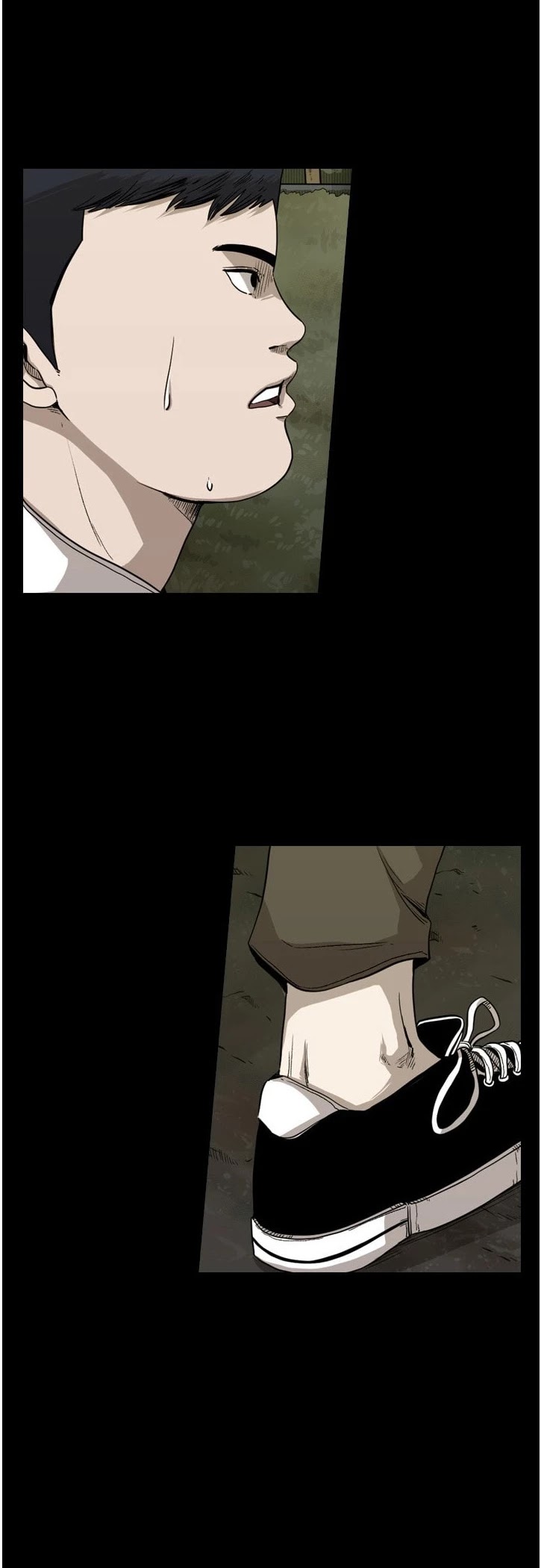 Read Shark EN Manga Online