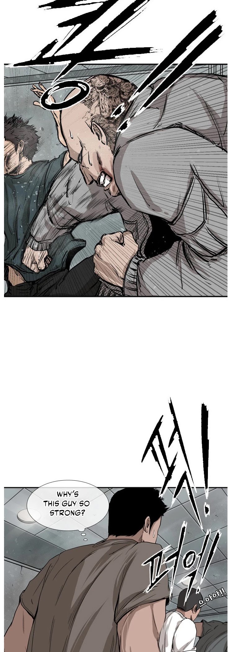 Read Shark EN Manga Online