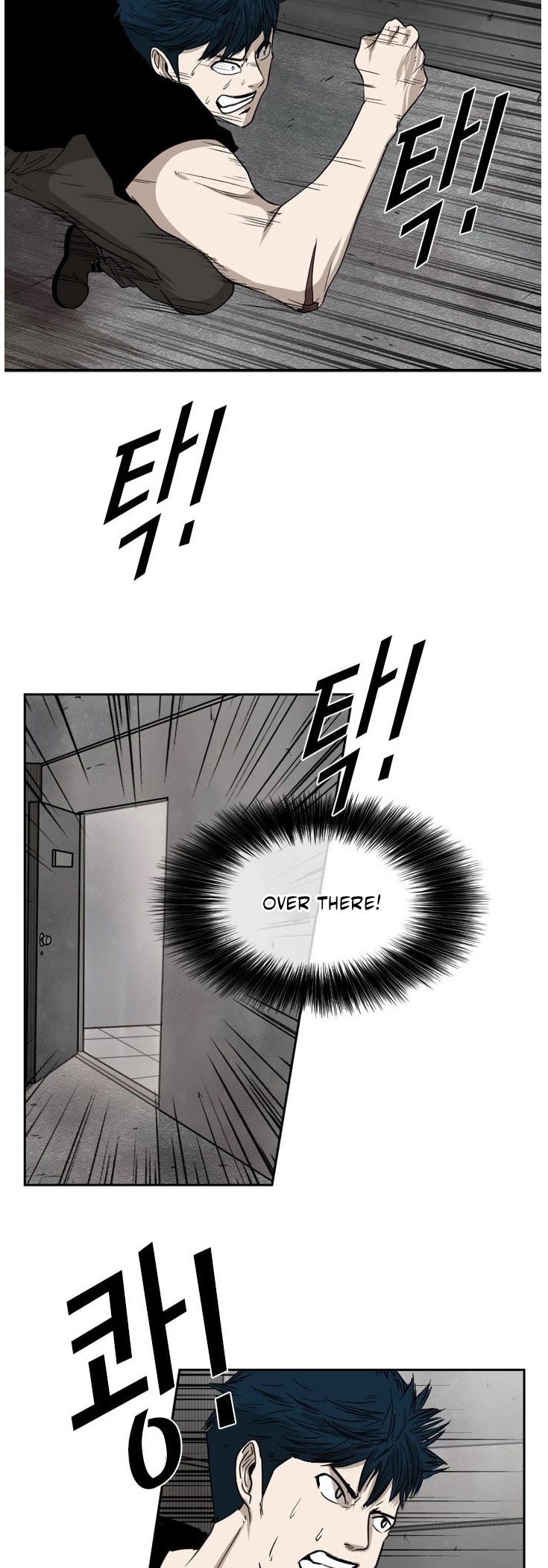 Read Shark EN Manga Online