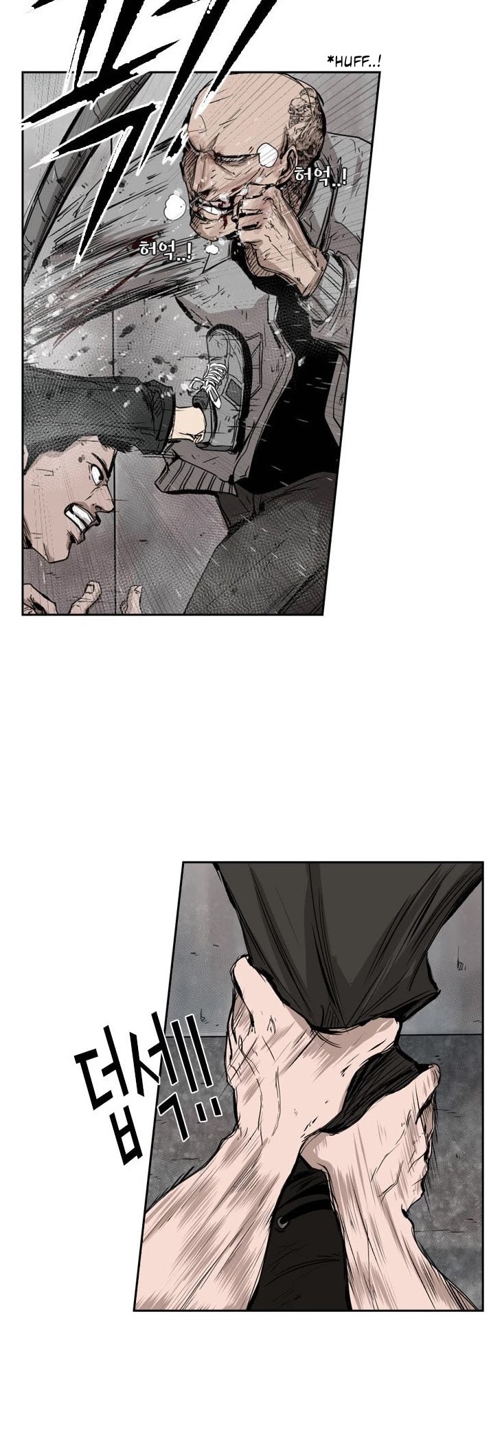 Read Shark EN Manga Online