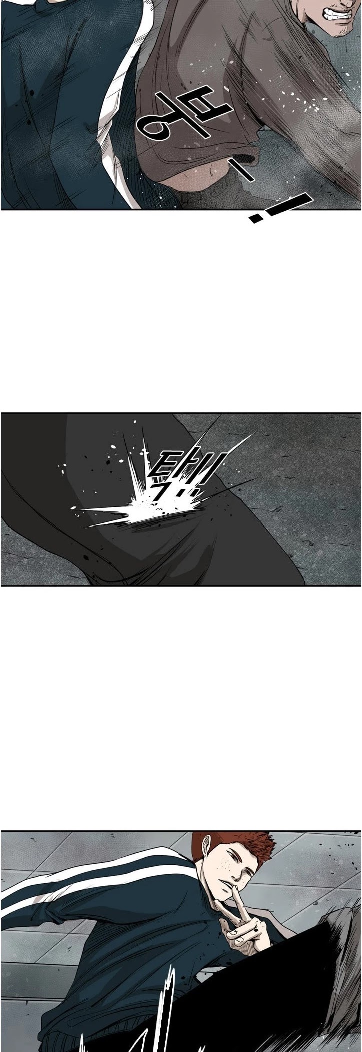 Read Shark EN Manga Online
