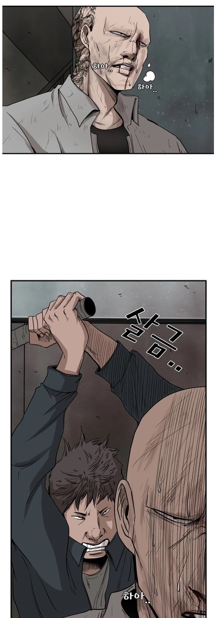 Read Shark EN Manga Online