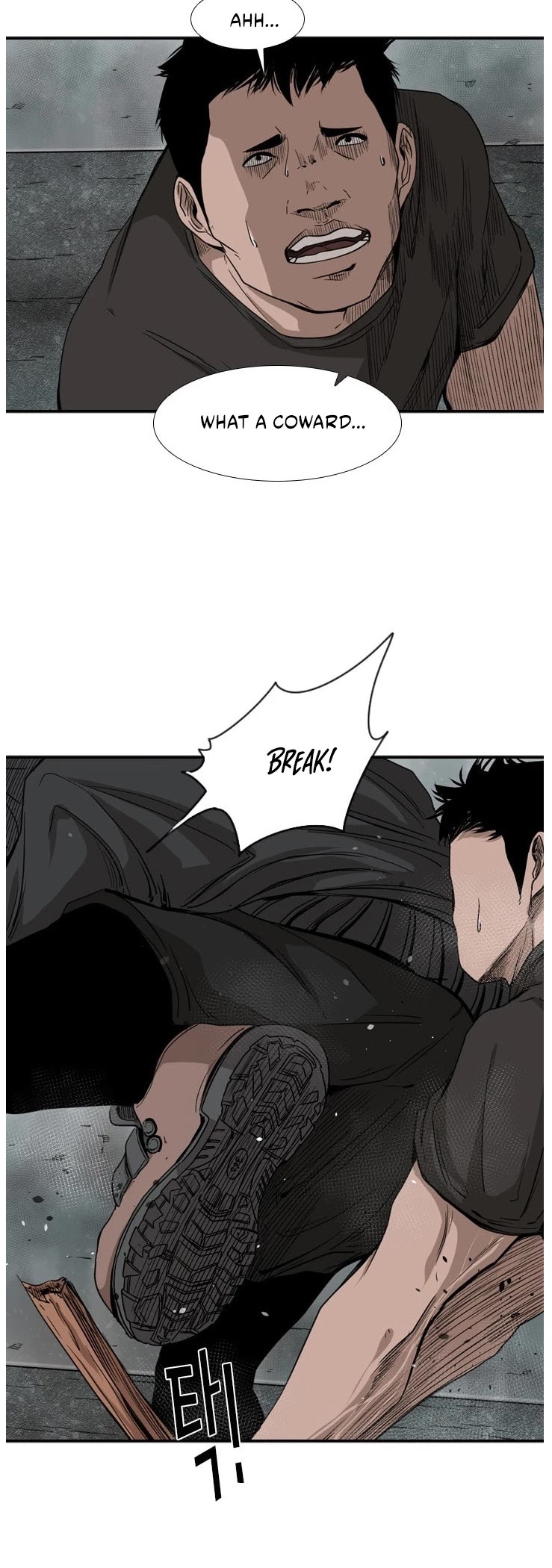 Read Shark EN Manga Online